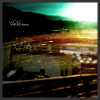 Esce il 24 maggio l'album dei MOLE "What’s the meaning?"
