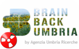 Brain Back Umbria, progetto-concorso di idee imprenditoriali umbre.