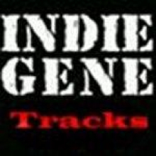 Ritratto di Indiegene Tracks