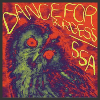 Dance For Burgess: il loro disco d’esordio “SSA”,solo in vinile!