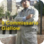Il commissario Giallow (riassunto)